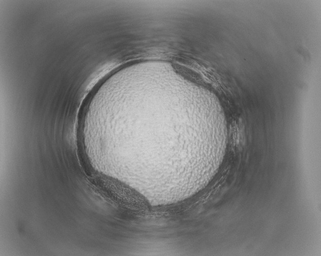 X0000115640292200912081110