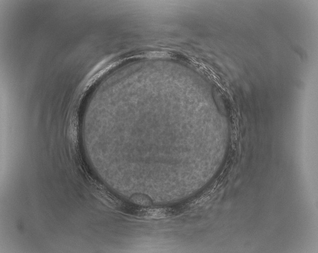 X0000115640295200912081110