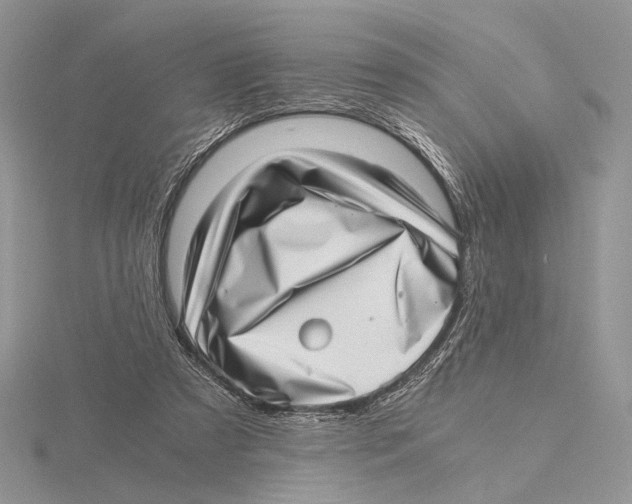 X0000115640305200912081110