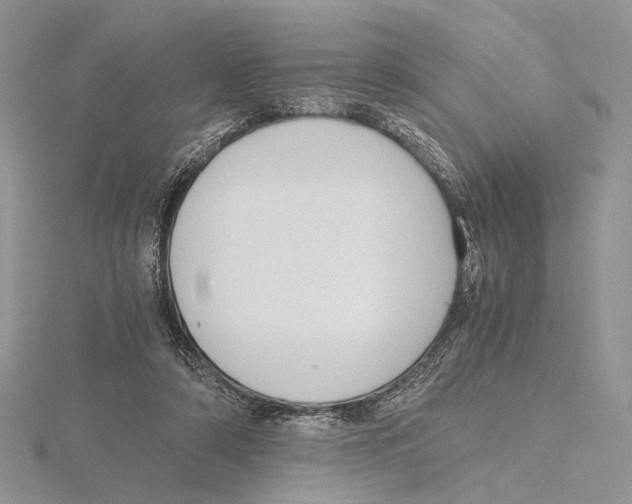X0000115640306200912081110