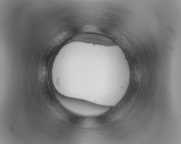 X0000115640308200912081110