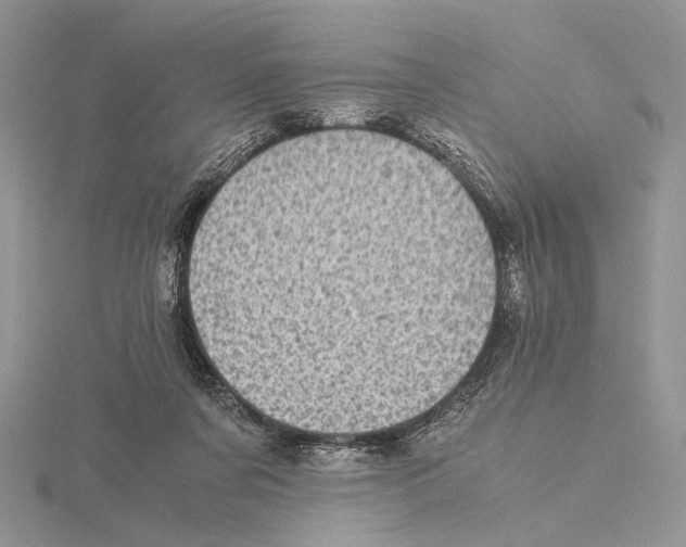 X0000115640311200912081110