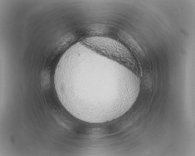 X0000115640312200912081110
