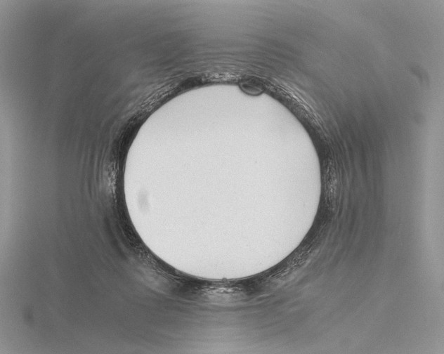 X0000115640315200912081110
