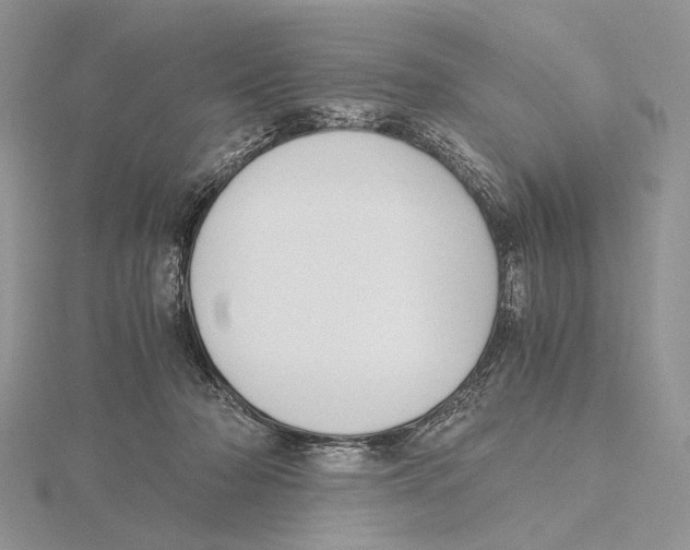 X0000115640318200912081110