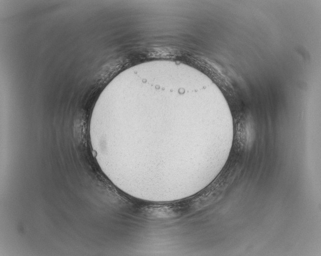 X0000115640322200912081109