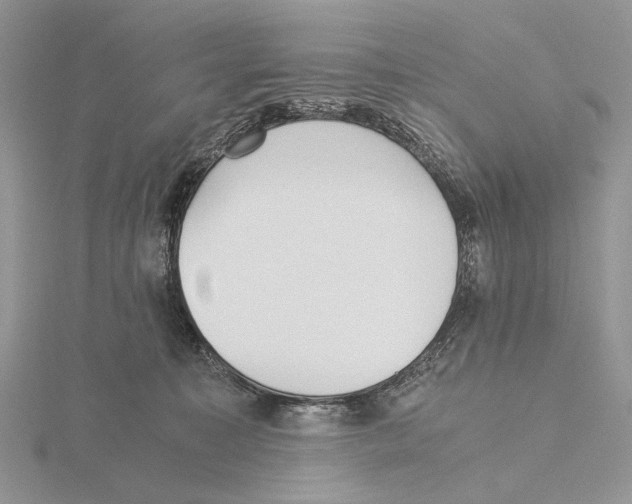 X0000115640323200912081109