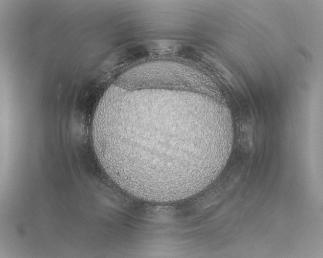 X0000115640324200912081109