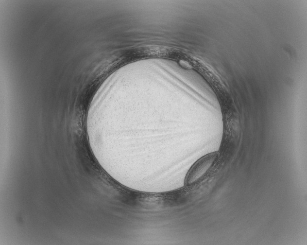 X0000115640325200912081109