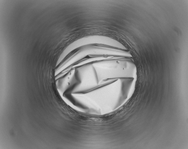 X0000115640328200912081109