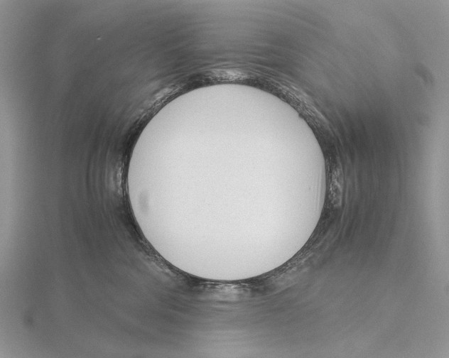 X0000115640330200912081109