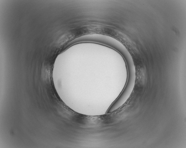 X0000115640333200912081109