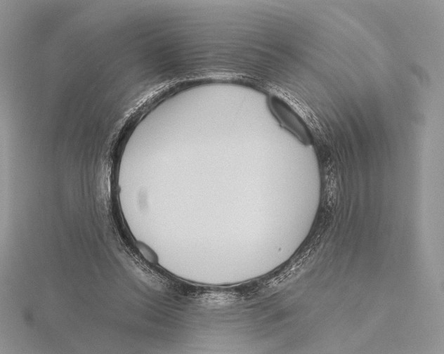 X0000115640350200912081109