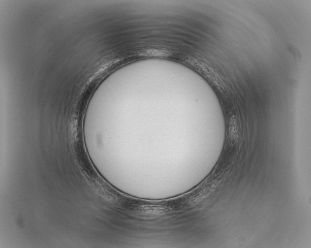 X0000115640351200912081109