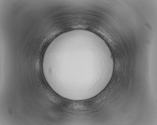 X0000115640353200912081109