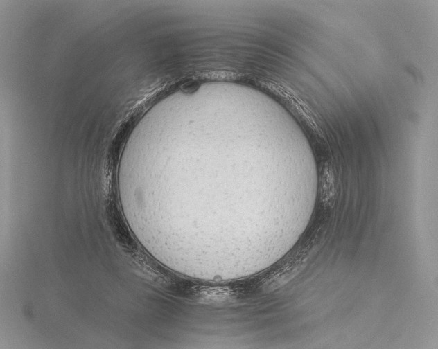X0000115640355200912081109