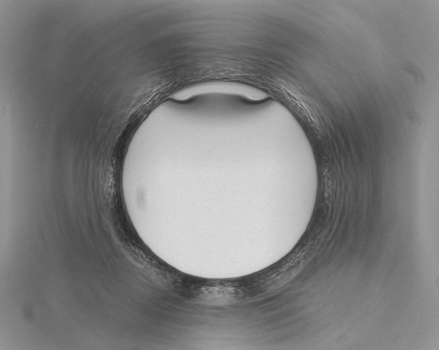 X0000115640362200912081109