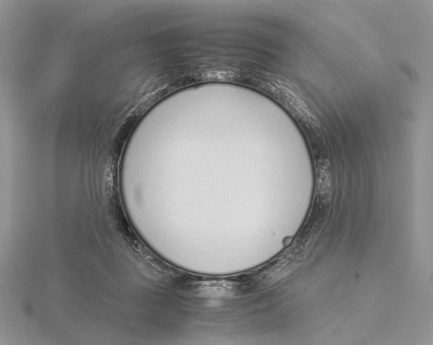 X0000115640363200912081109