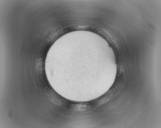 X0000115640366200912081109