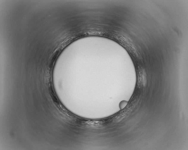 X0000115640367200912081109