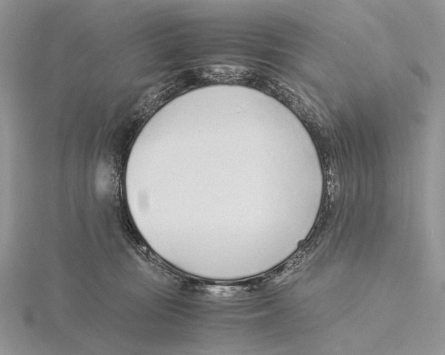 X0000115640371200912081109
