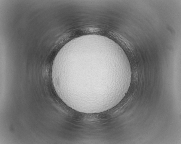 X0000115640373200912081109