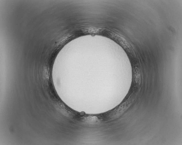 X0000115640374200912081109