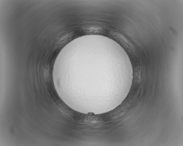 X0000115640377200912081109