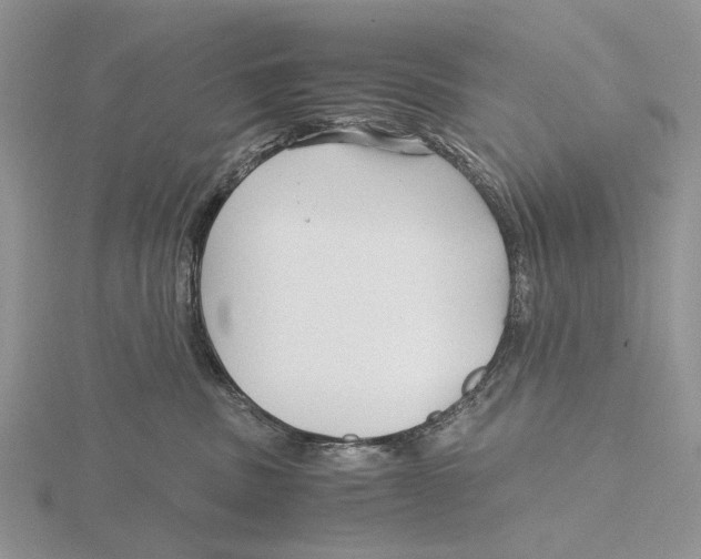 X0000115640379200912081109