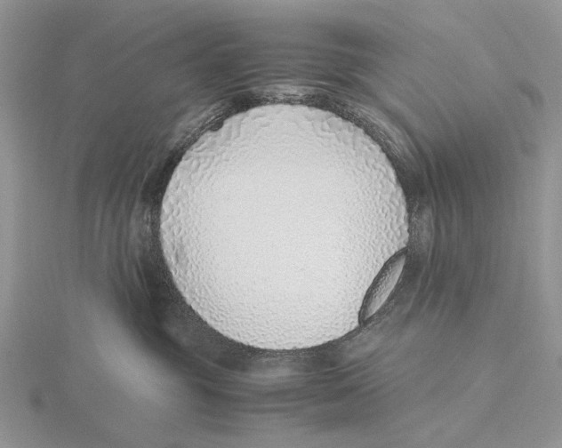 X0000115640381200912081109