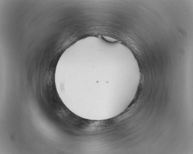 X0000115640382200912081109