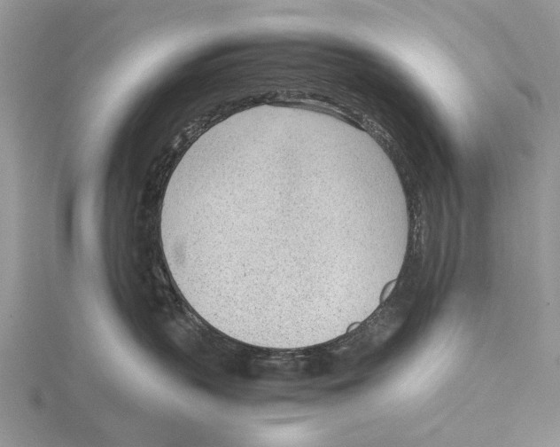 X0000115640383200912081109