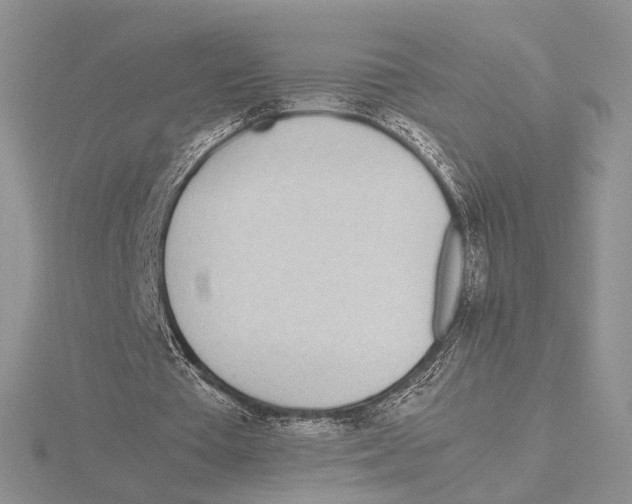 X0000115640385200912081109