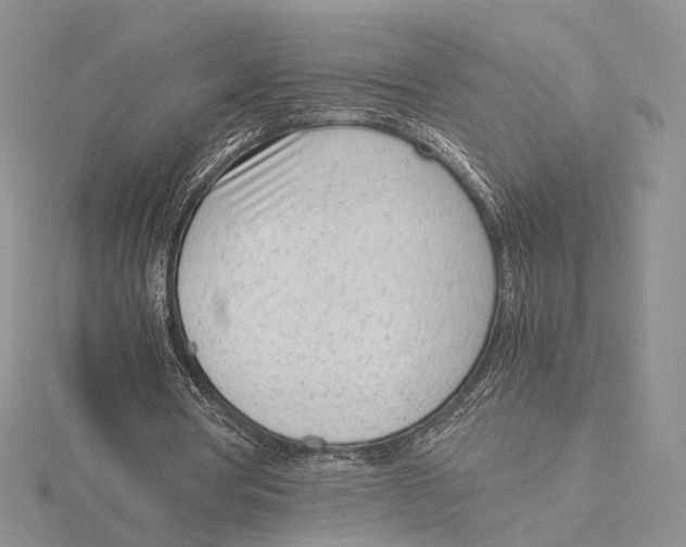 X0000115640386200912081109