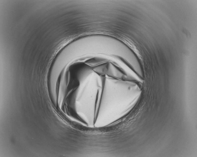 X0000115640389200912081109