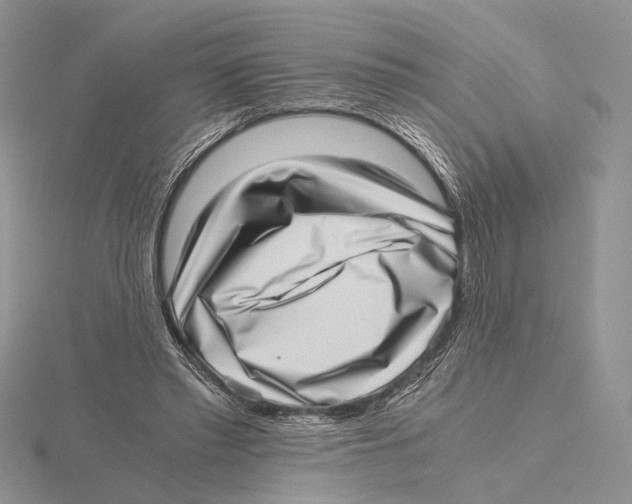 X0000115640397200912081108