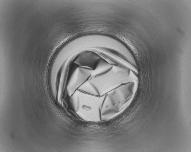 X0000115640399200912081108