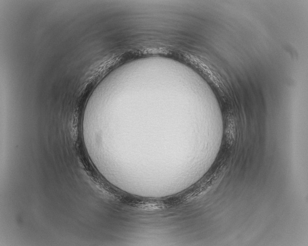 X0000115640402200912081108