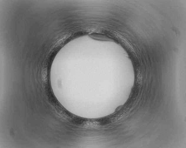 X0000115640403200912081108