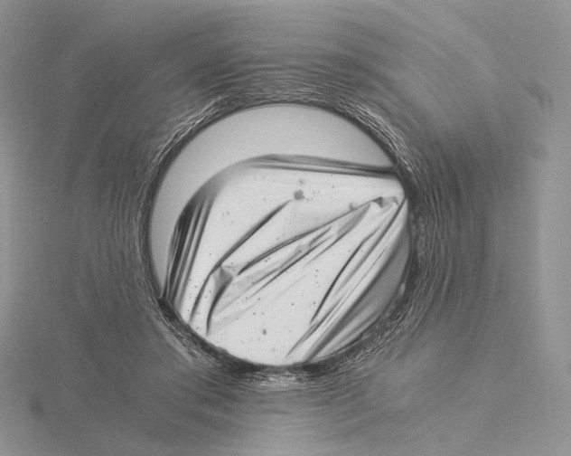 X0000115640405200912081108