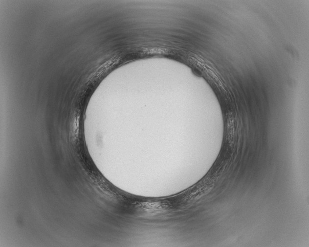 X0000115640406200912081108