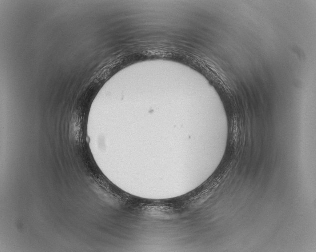 X0000115640408200912081108