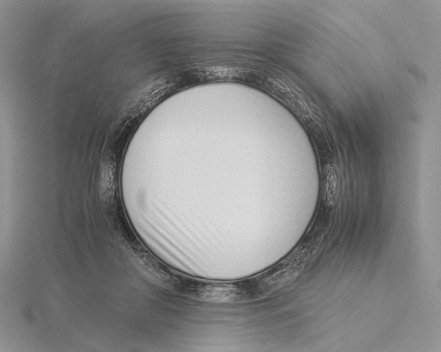 X0000115640410200912081108