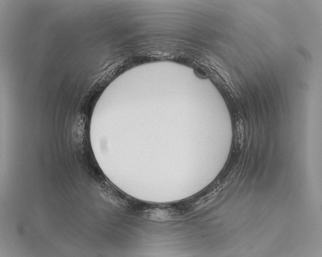 X0000115640412200912081108