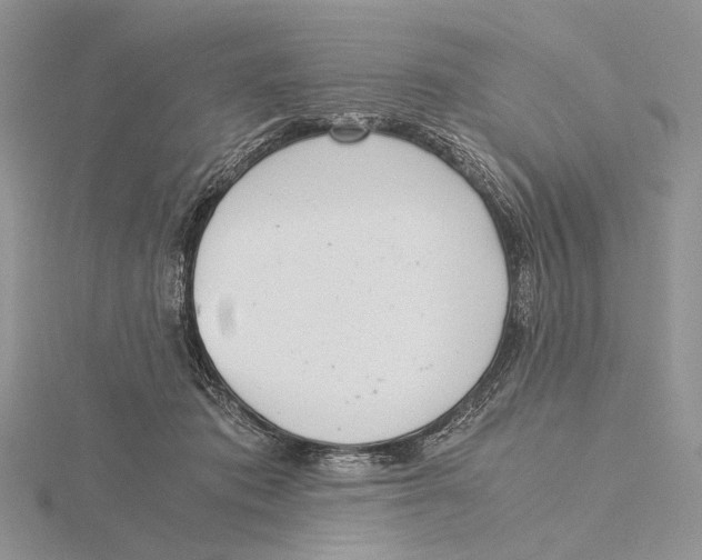 X0000115640413200912081108