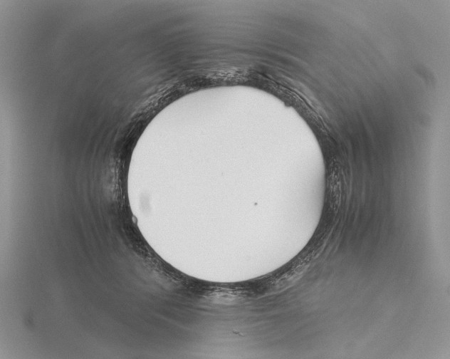 X0000115640416200912081108