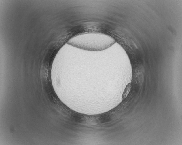 X0000115640417200912081108