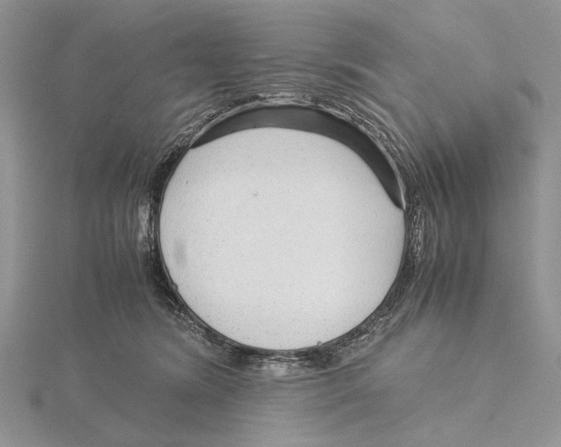 X0000115640420200912081108