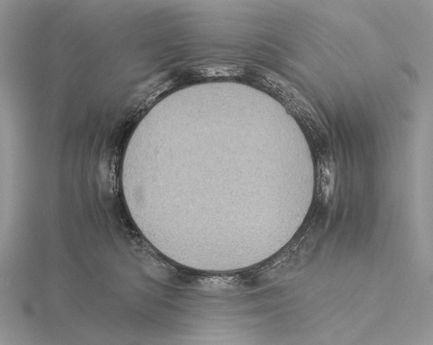 X0000115640422200912081108