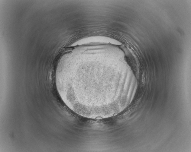 X0000115640424200912081108